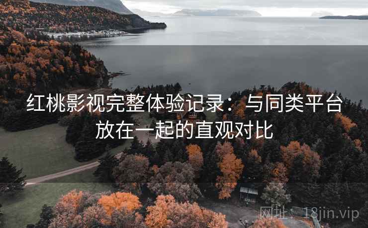 红桃影视完整体验记录:与同类平台放在一起的直观对比