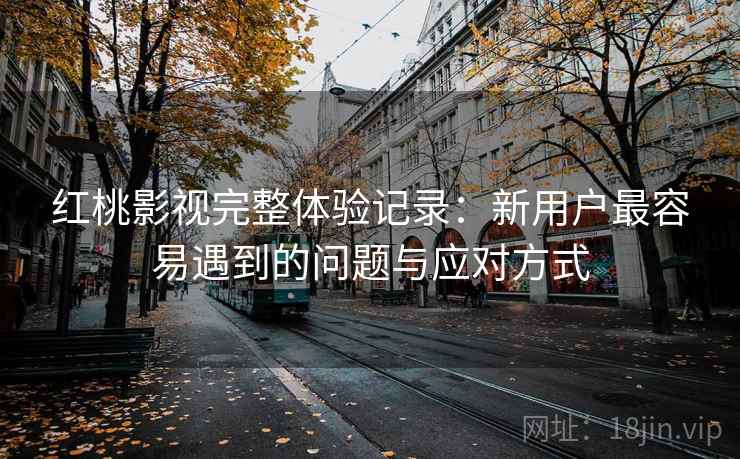 红桃影视完整体验记录：新用户最容易遇到的问题与应对方式