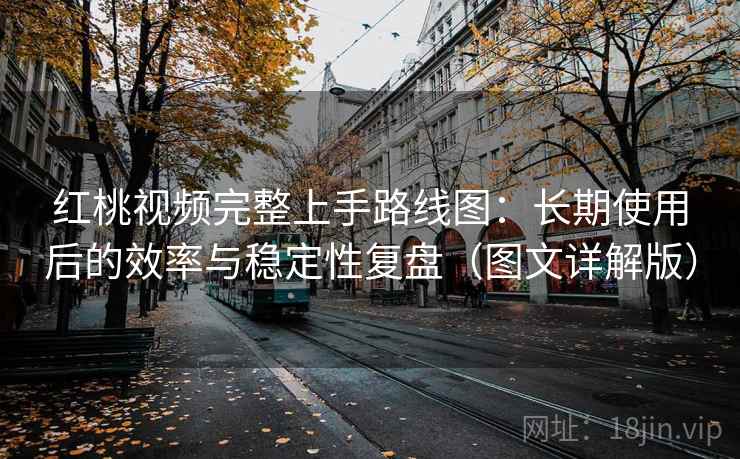 红桃视频完整上手路线图：长期使用后的效率与稳定性复盘（图文详解版）