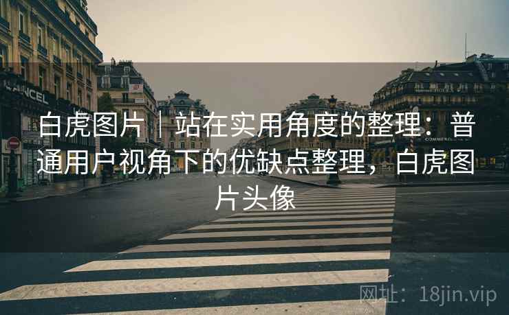 白虎图片｜站在实用角度的整理：普通用户视角下的优缺点整理，白虎图片头像