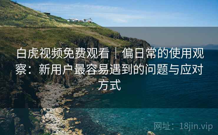 白虎视频免费观看|偏日常的使用观察:新用户最容易遇到的问题与应对方式
