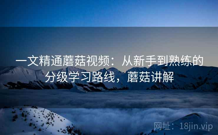 一文精通蘑菇视频：从新手到熟练的分级学习路线，蘑菇讲解