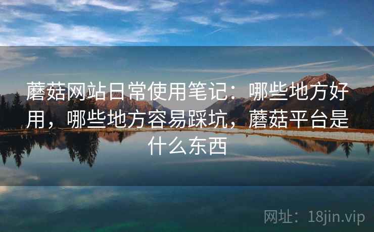 蘑菇网站日常使用笔记：哪些地方好用，哪些地方容易踩坑，蘑菇平台是什么东西