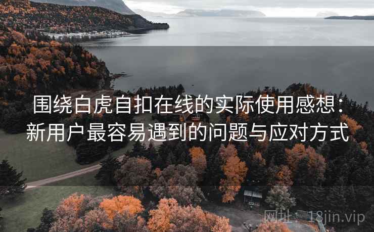 围绕白虎自扣在线的实际使用感想：新用户最容易遇到的问题与应对方式