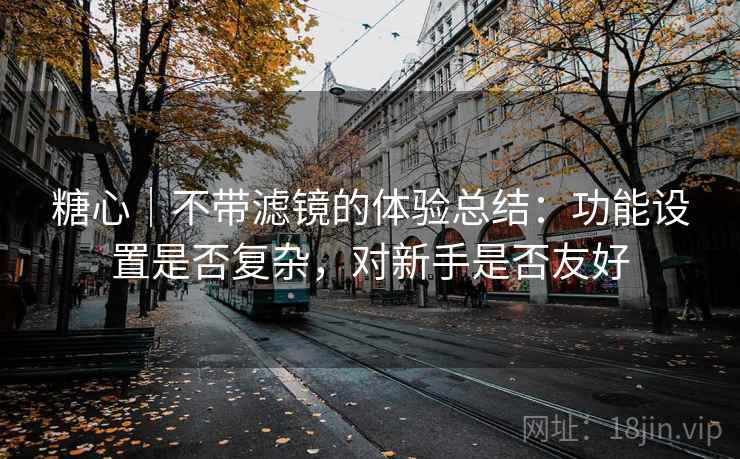 糖心|不带滤镜的体验总结:功能设置是否复杂,对新手是否友好