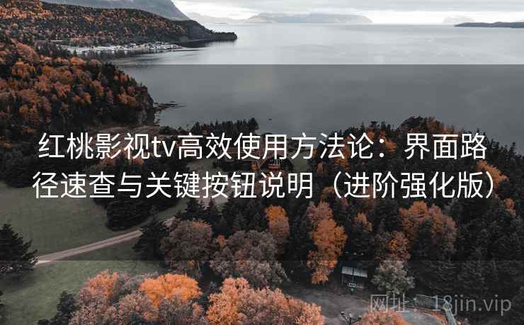 红桃影视tv高效使用方法论：界面路径速查与关键按钮说明（进阶强化版）