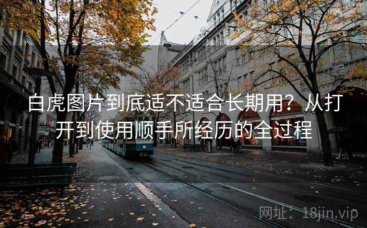 白虎图片到底适不适合长期用?从打开到使用顺手所经历的全过程