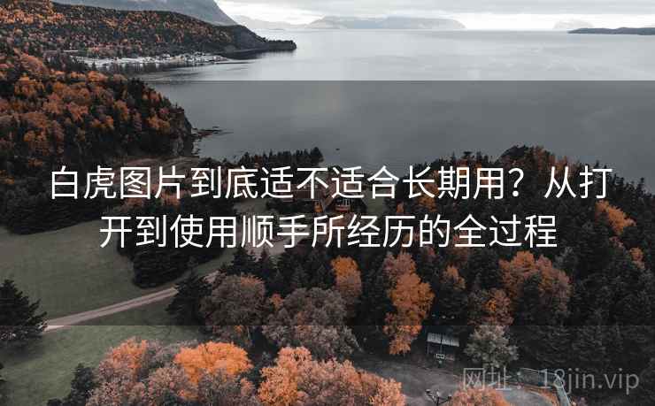 白虎图片到底适不适合长期用?从打开到使用顺手所经历的全过程