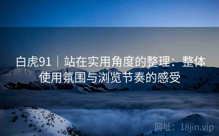 白虎91|站在实用角度的整理:整体使用氛围与浏览节奏的感受