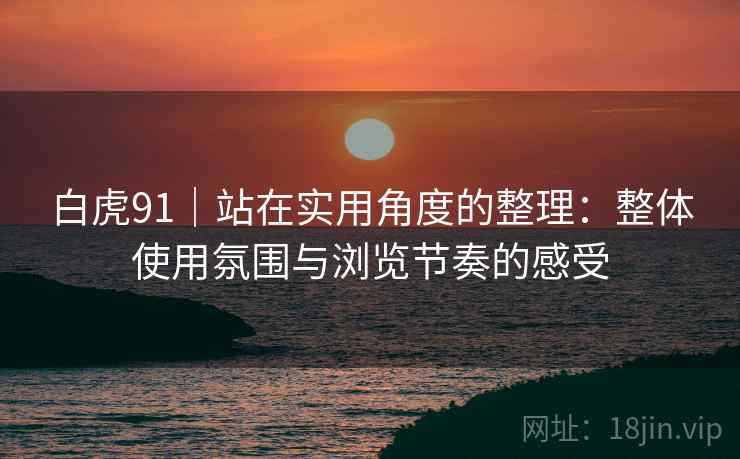 白虎91|站在实用角度的整理:整体使用氛围与浏览节奏的感受