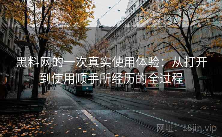 黑料网的一次真实使用体验:从打开到使用顺手所经历的全过程