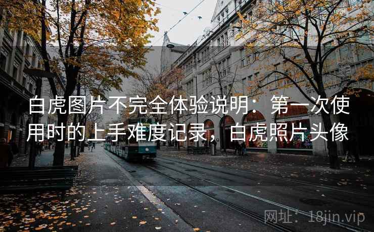 白虎图片不完全体验说明:第一次使用时的上手难度记录,白虎照片头像