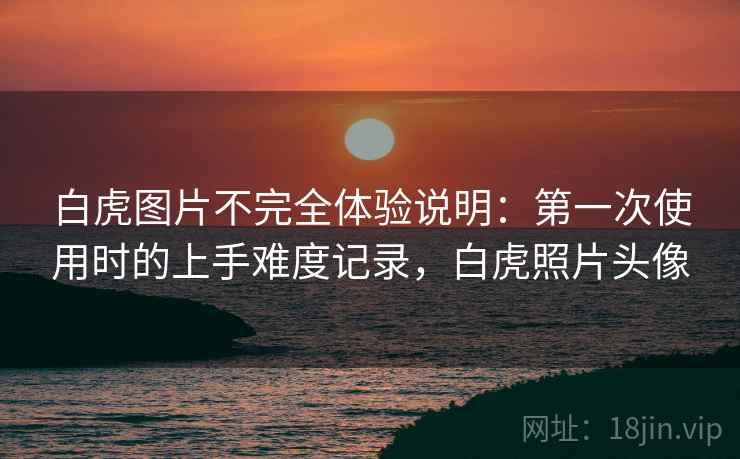 白虎图片不完全体验说明:第一次使用时的上手难度记录,白虎照片头像
