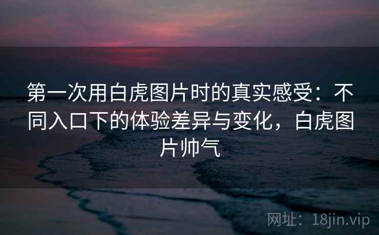 第一次用白虎图片时的真实感受：不同入口下的体验差异与变化，白虎图片帅气