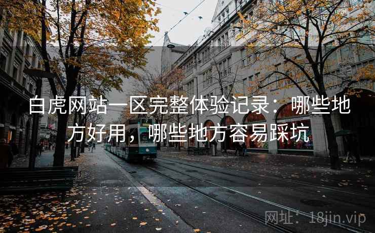 白虎网站一区完整体验记录：哪些地方好用，哪些地方容易踩坑
