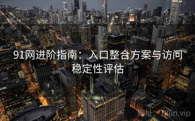 91网进阶指南：入口整合方案与访问稳定性评估